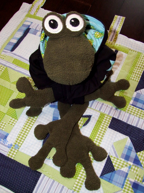 Des Frosches neue Hoody