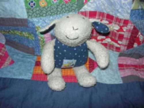 Hilfe Lammy gesucht!!!!