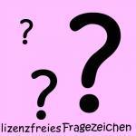 Damenrock FRIDA auch aus Jersey zu nhen?