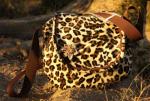 Leoparden-Fotobella