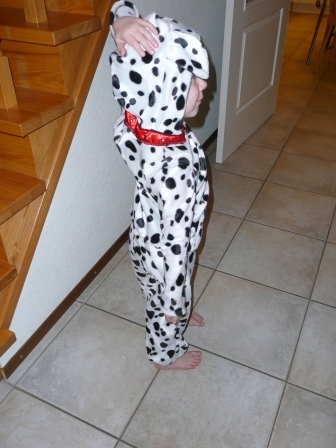 Emy dalmatier van Antonia