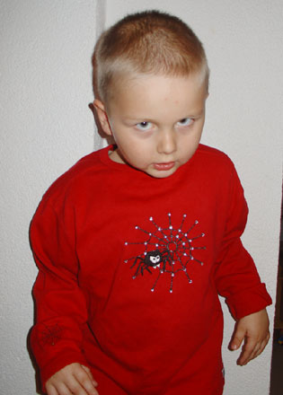 Gepimptes Spinnenglitzershirt!
