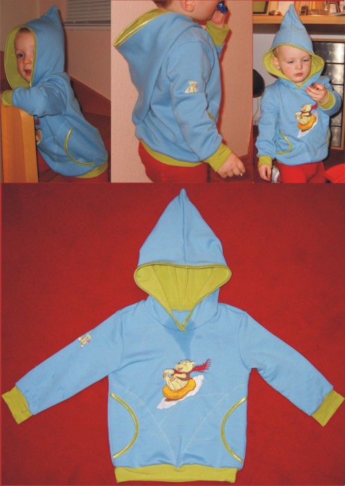 Kapuzen-Sweat-Shirt