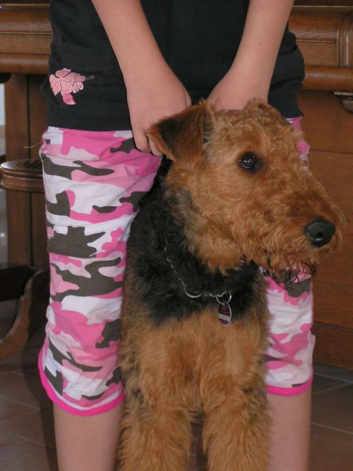 Unsere 1. Ivy