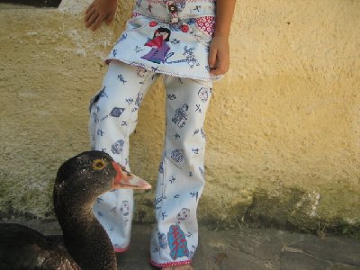 1. Fotoversuch der 3. Roberta