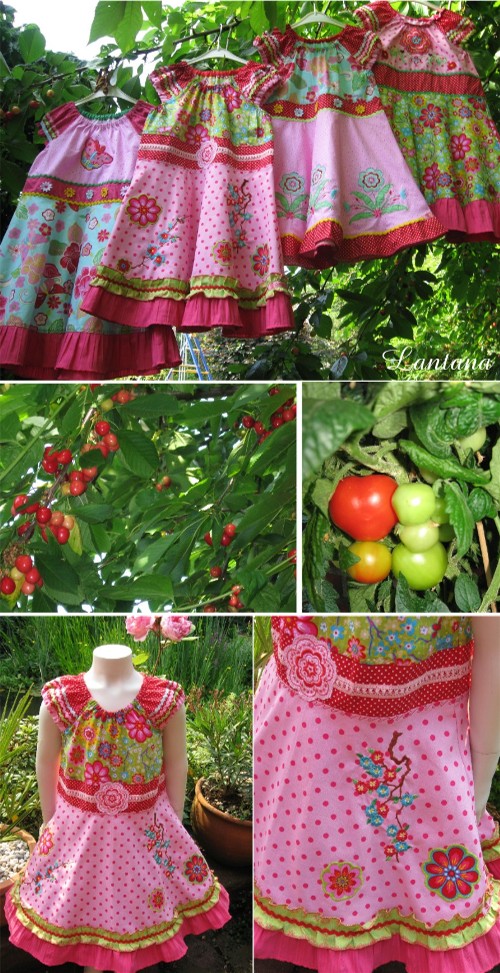 Tinis, Kirschen und Tomaten sind reif