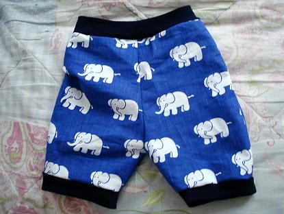 elefantenshorts