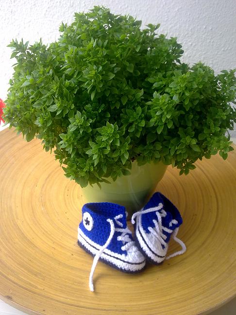 Chucks fr Jungs