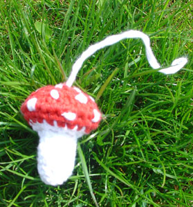 Gehkeltes Fliegenpilzchen