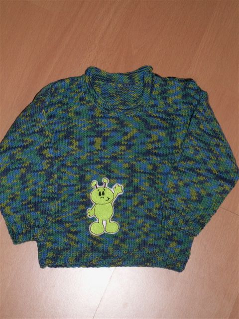 Ein Pulli in Gr. 80 ...