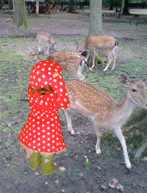 Ein Mnnlein steht im Walde...