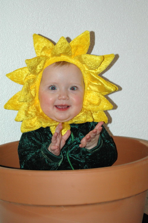 Meine kleine Blume