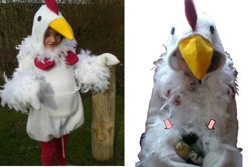 Huhn und Kken