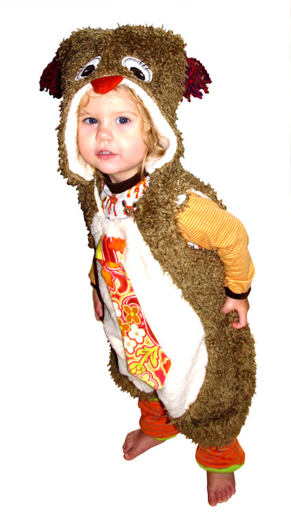 Kleine Eule