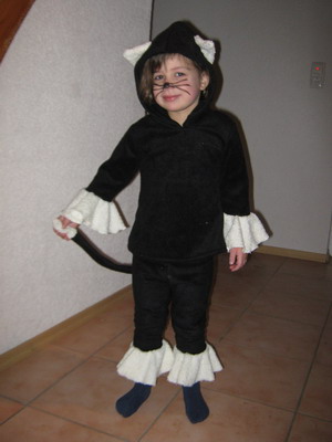 Katze