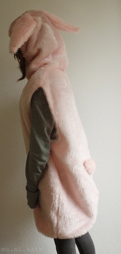 rosa hase