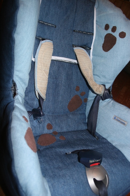 Autositz
