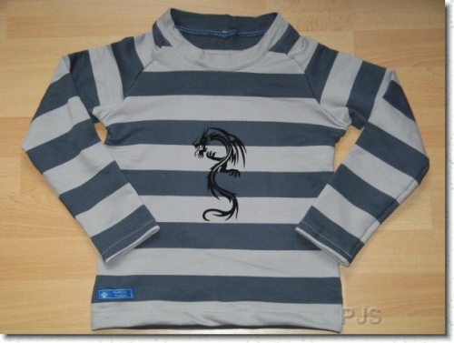 ein Drachenpulli