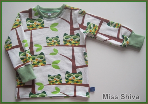 Nochmal ein Eulenshirt
