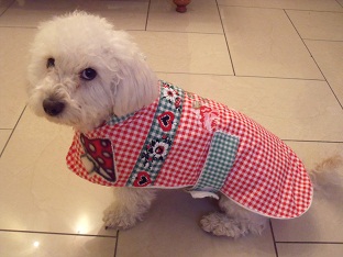 Hundematel