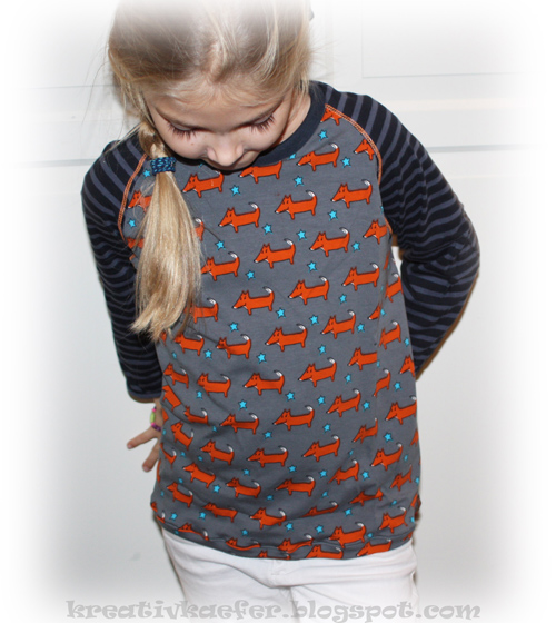 Wieder Raglan