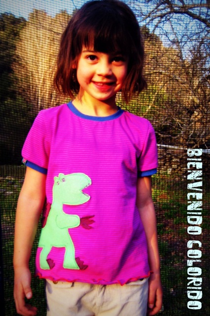 Ein Dinoshirt
