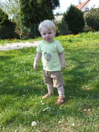 Sommer, Sonne, grn...