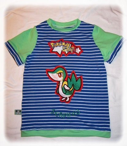 Pokemon Xater