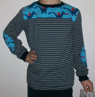 Drachenshirt