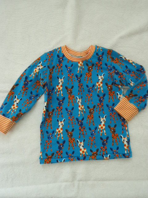 Herbstshirt V