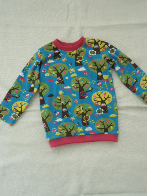 Herbstshirt IV