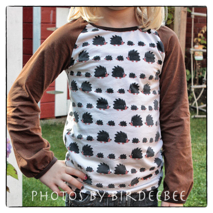 Super Raglan-Shirt