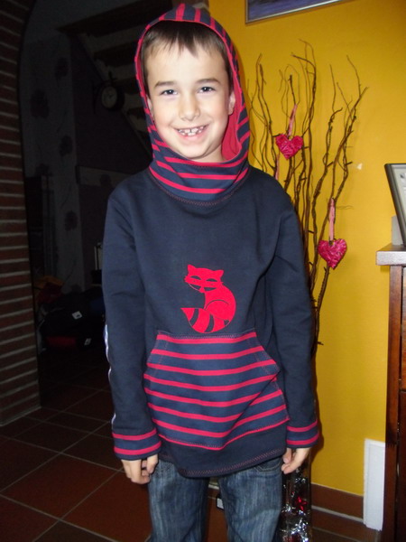 Multisnit-Pulli meets coolen Waschbr