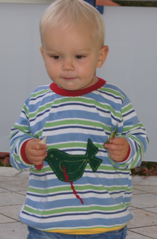 Shirt mit Appli