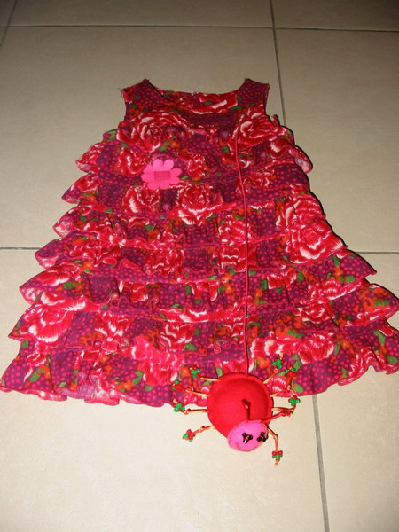 spinnenkleid in detail