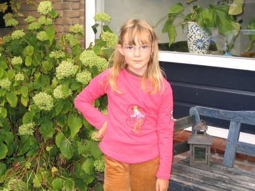 Noch ein foto...