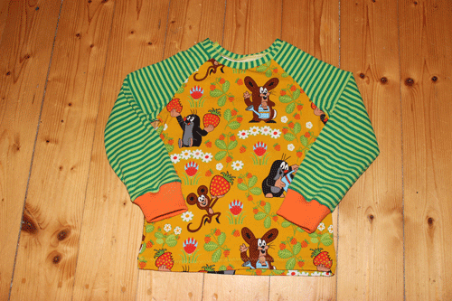 Raglanshirt