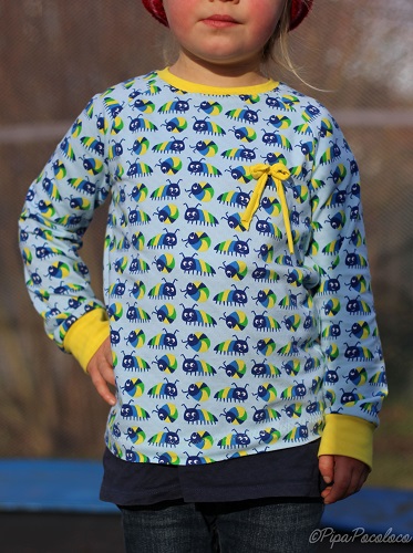 Raglanshirt ganz einfach aber doch besonders