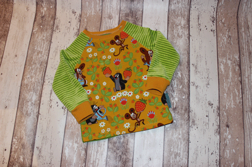 Raglanshirt