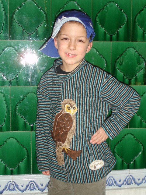 Eulenpulli