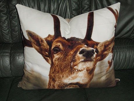 ...ein GeburtstagsKissen...