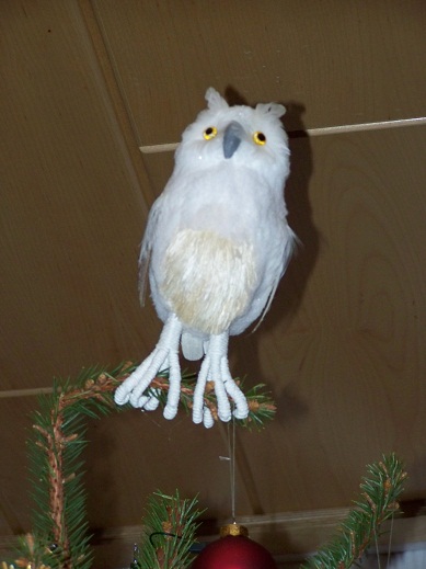Frohe Weihnachten Euch allen!