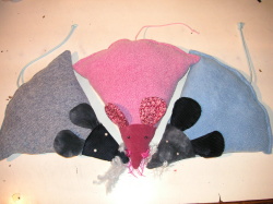 Kuschelmuse