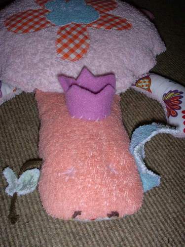 Schildkte Frontansicht