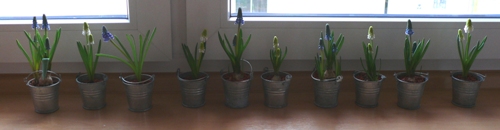 Ich wnsche allen FROHE OSTERN!