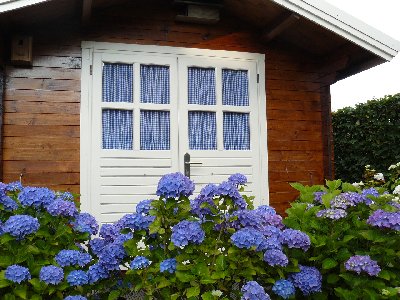 Gardinen