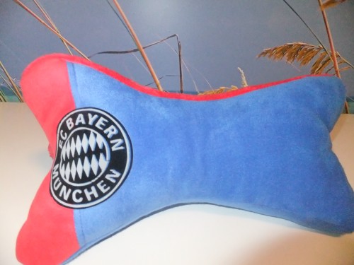 Fan-leseknochen