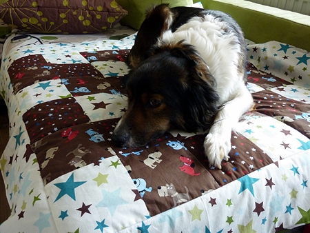 Patchworkdecke fr den Hund