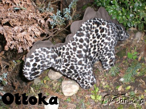 Ottoka
