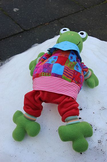 Ein Frosch...